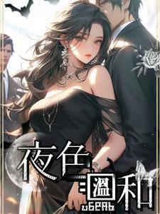 夜色温柔是什么书