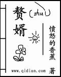 赘婿免费阅读
