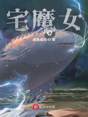 宅魔女等级划分