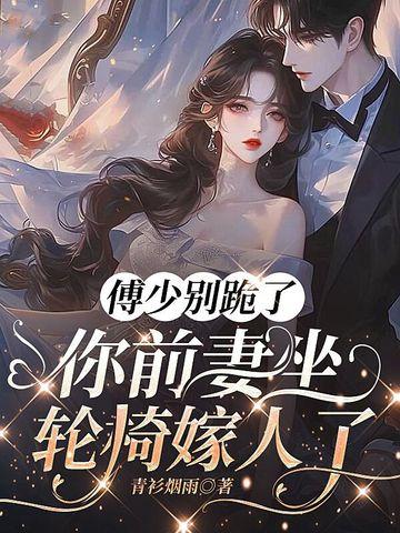 你前妻坐轮椅嫁人了 青衫烟雨