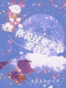 你说过要爱我到永久 歌词