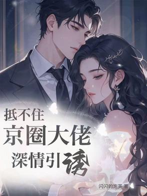 京婚似锦免费观看