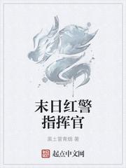 废土指挥官TXT