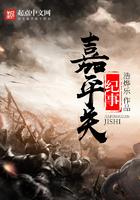 嘉平关纪事讲的什么