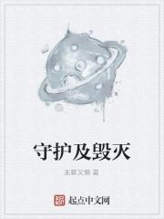 火影守护与破坏