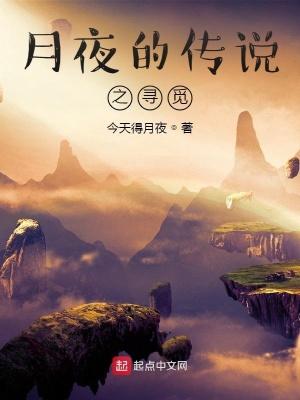 月夜传说攻略