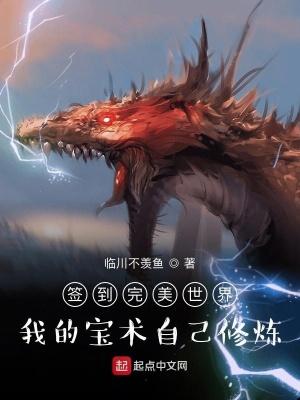 完美世界宝术