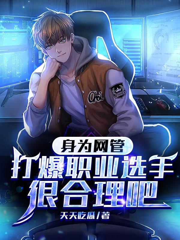 把网管说的高大上