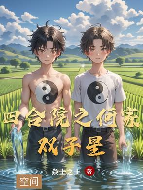 四合院之何家双子星TXT