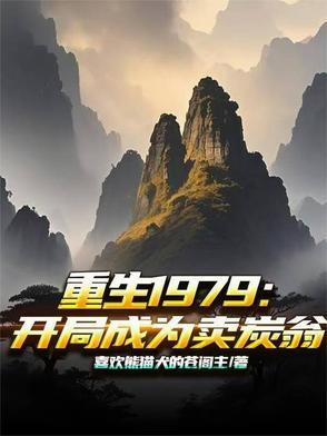 重生1979:开局成为卖炭翁
